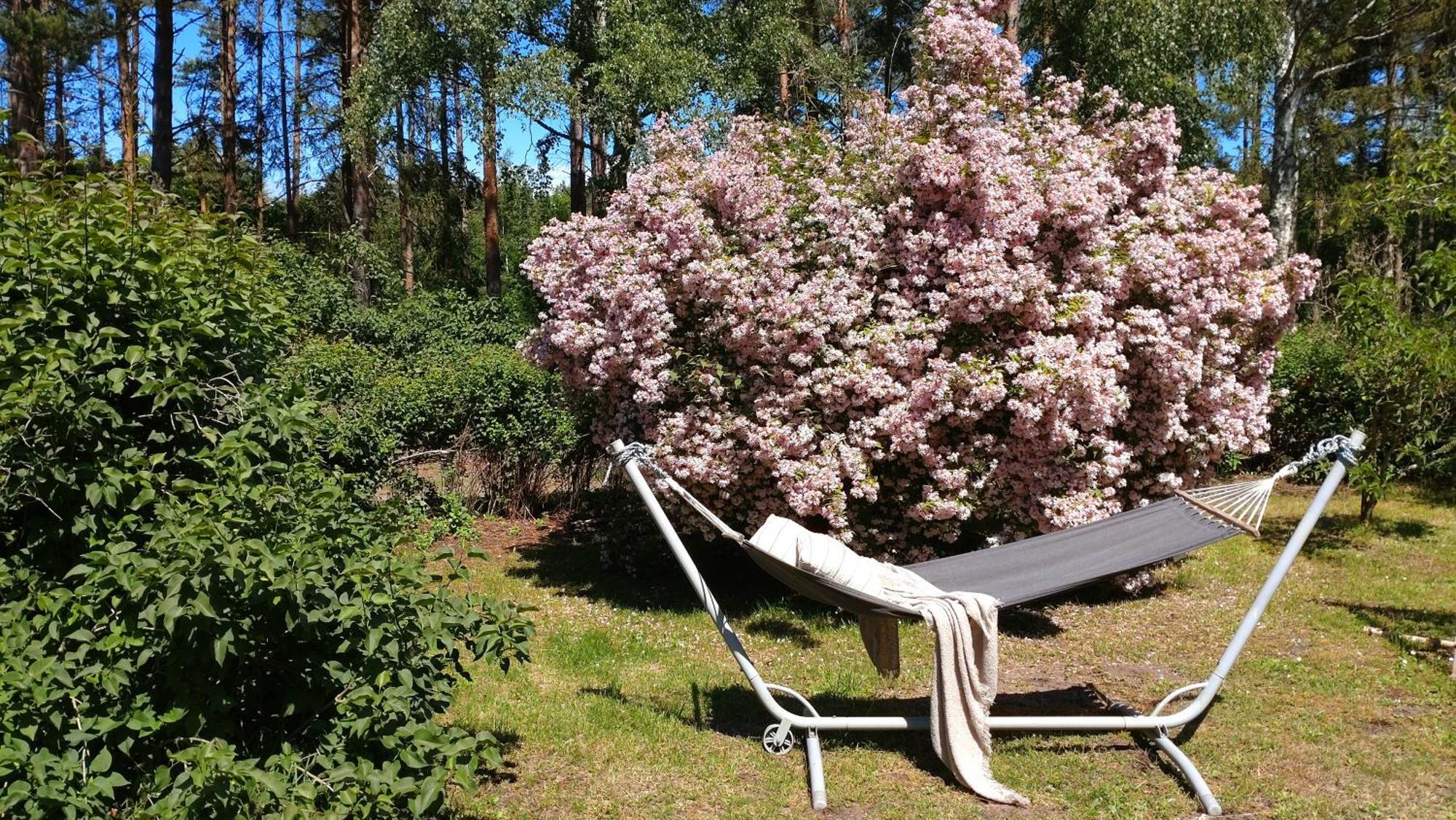 Oesterlencharm Löderup Extérieur photo