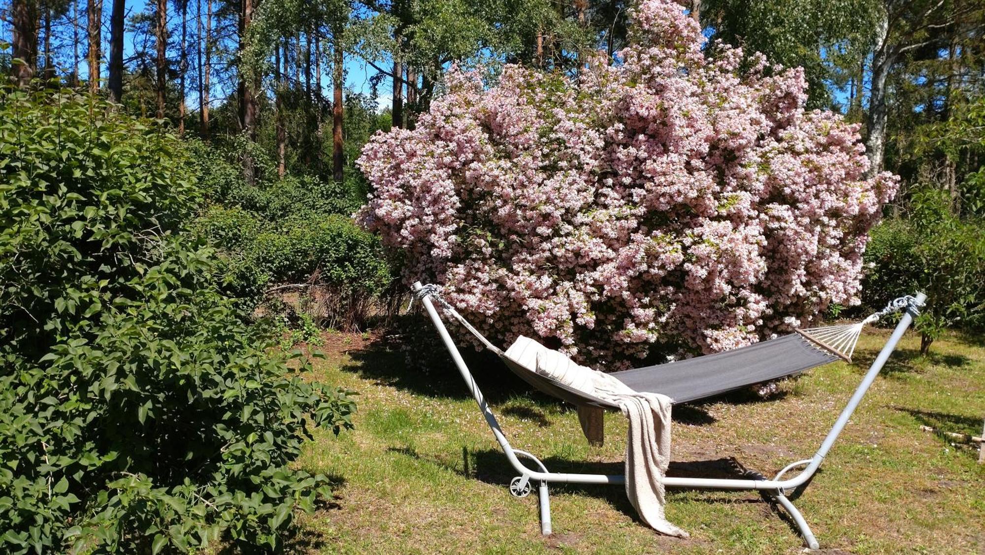 Oesterlencharm Löderup Extérieur photo